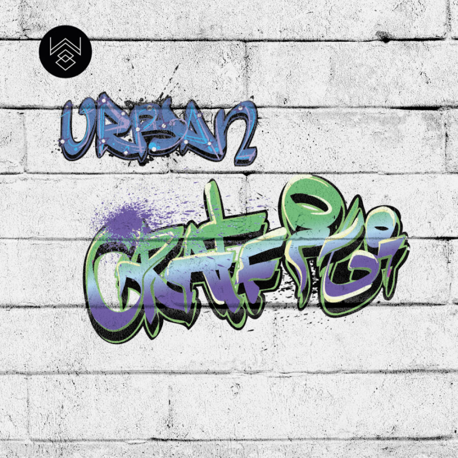 גרפיטי בריקים 3 213602 (5)