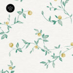 פרחים דובדבנים 5 213578 (1)