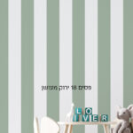 סטורי פסים 18 ירוק מעושן (1)